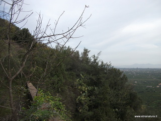 mpa Falconiera-30-03-2013 08-35-14